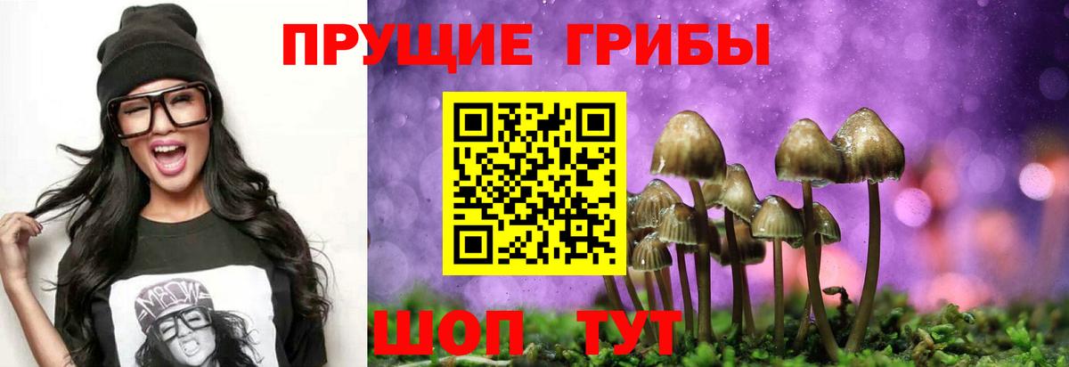 Псилоцибиновые грибы мицелий Гусь-Хрустальный